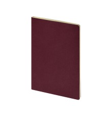 Бизнес-тетрадь А4 Pragmatic,  40л., клетка, бордовый
