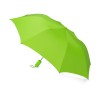 Купить Зонт складной Tulsa, полуавтоматический, 2 сложения, с чехлом, зеленое яблоко с нанесением логотипа