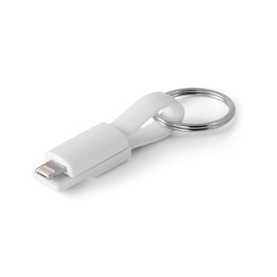 Купить RIEMANN. USB-кабель с разъемом 2 в 1, Белый с нанесением