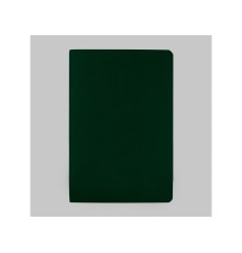 Бизнес тетрадь А5 Megapolis flex 60 л. soft touch клетка, зеленый