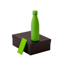 Подарочный набор с термобутылкой и повербанком С1, 5000 mAh, зеленое яблоко