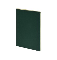 Бизнес-тетрадь А4 Pragmatic,  40л., клетка, зеленый