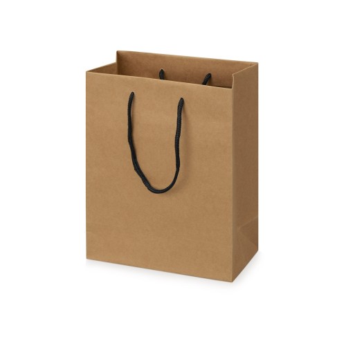 Купить Пакет подарочный Kraft S, 23x30x12 см (Р) с нанесением логотипа