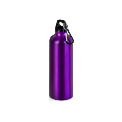 Купить Бутылка Hip M с карабином, 770 мл, пурпурный (Р) с нанесением логотипа