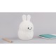 Купить Rombica LED Rabbit, белый с нанесением логотипа