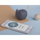 Купить Портативная акустика Rombica Mysound Tito 2C, темно-серый с нанесением логотипа