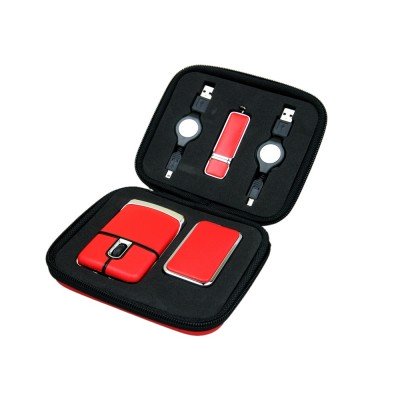 Подарочный набор USB-SET в кожанном исполнении в коробочке на 4 Гб, красный
