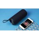 Купить Портативная колонка mySound Colibri 1C, 6 Вт, черный с нанесением логотипа