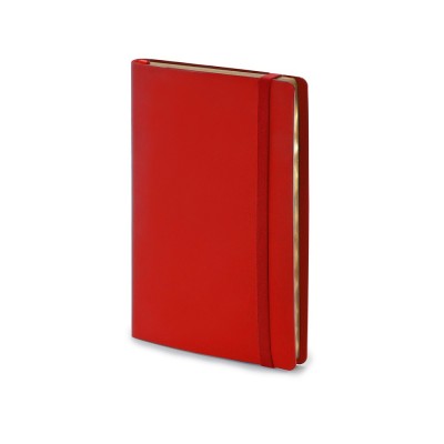 Купить Ежедневник недатированный А5 Oxford, красный с нанесением