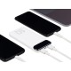 Купить RIVACASE VA2540 (10 000mAh), QC/PD 20W внешний аккумулятор с дисплеем, белый 12/48 с нанесением логотипа