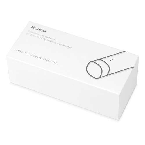 Купить Портативное зарядное устройство Мьюзик, 5200 mAh, серебристый с нанесением логотипа Купить Портативное зарядное устройство Мьюзик, 5200 mAh, серебристый с нанесением логотипа