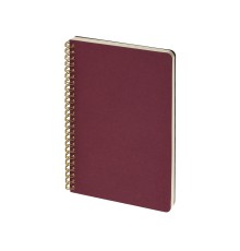 Бизнес тетрадь на гребне А5 Pragmatic, 60 листов в клетку, бордовый