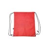 Купить Рюкзак-мешок LARUS из мягкого материала RPET, красный с нанесением логотипа
