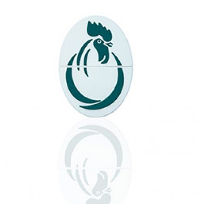 Флешки с логотипом компании Переславль 